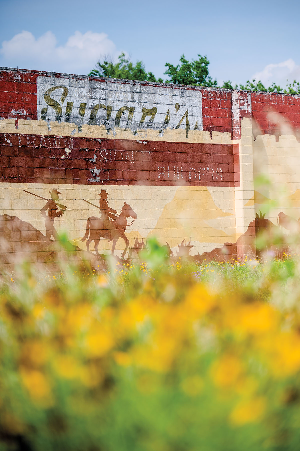 Yellow flowers are blurred in the foreground of a brick wall with a mural of horses painted