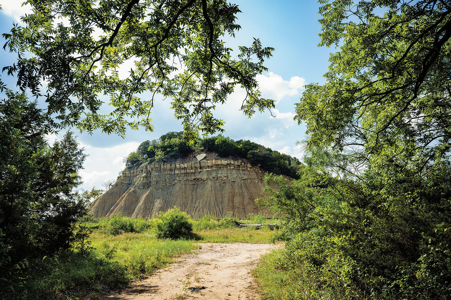 A large gray rock outcropping underneath green trees in an outdoor setting