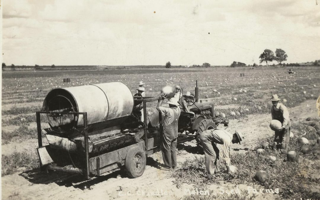 Before Peaches, Watermelons Ruled in Parker County