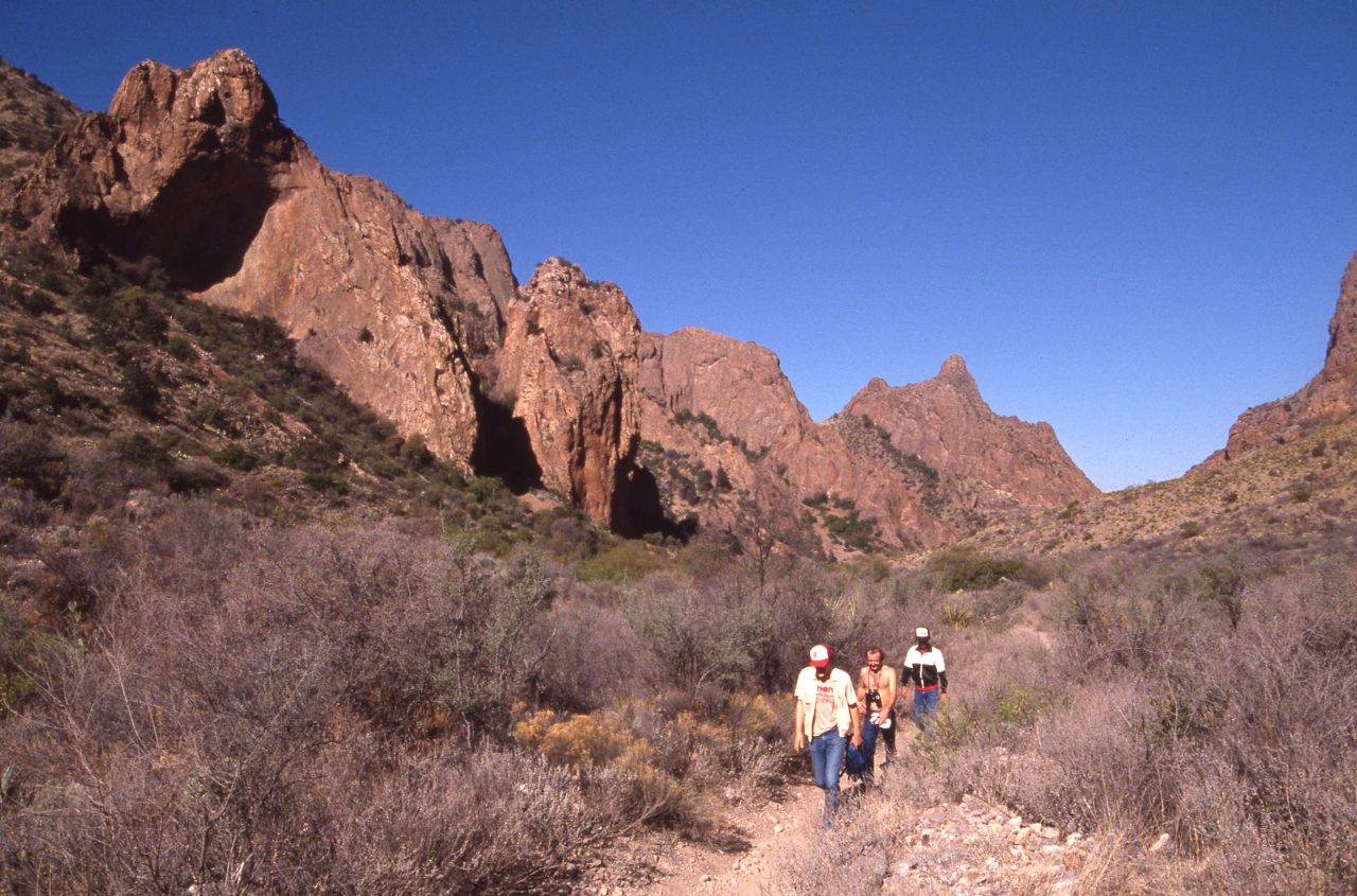 A First-Timers Guide To Big Bend National Park In West Texas