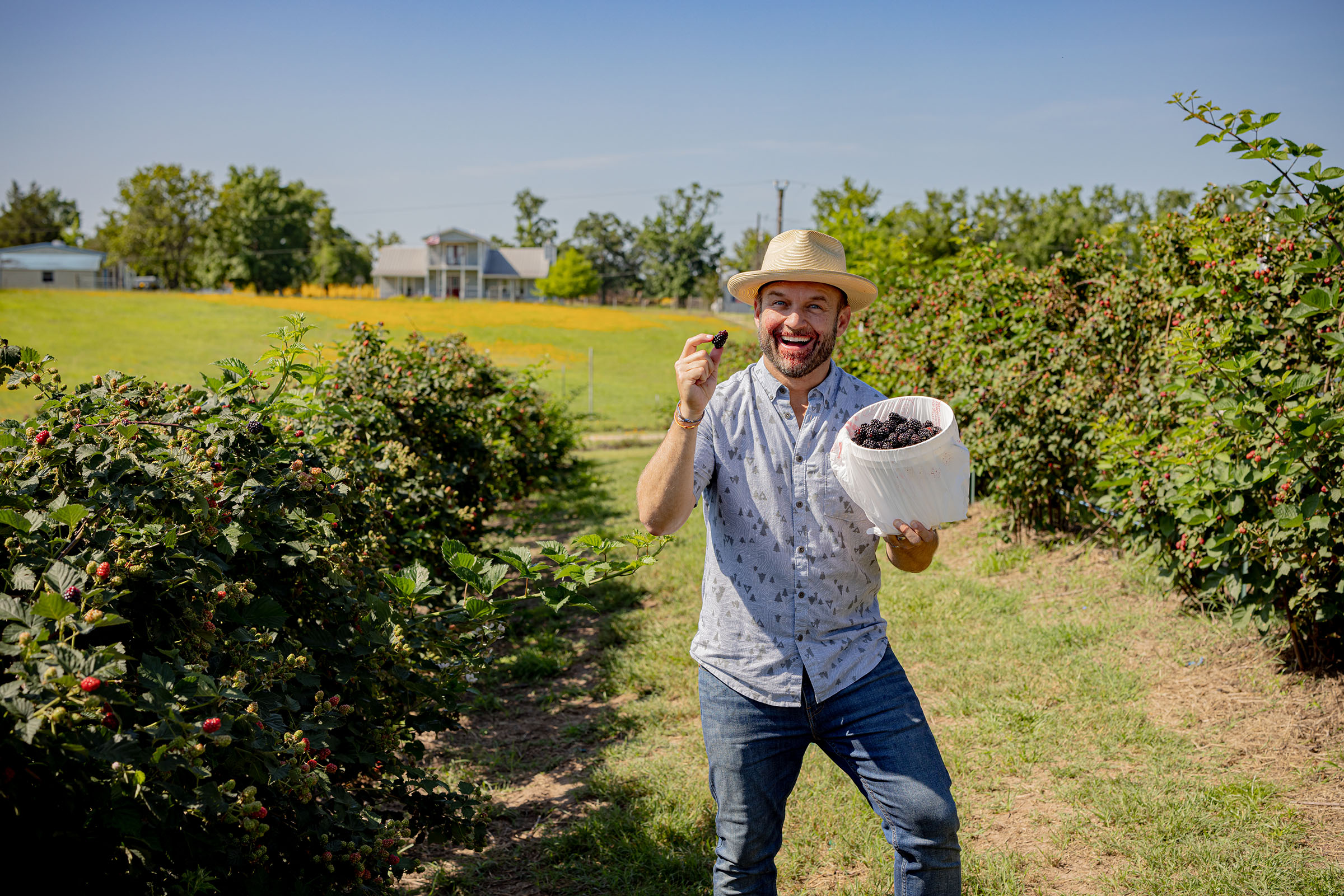 A man in a small cowboy hat stands with a large plastic bucket of blackberries in a green berry patch