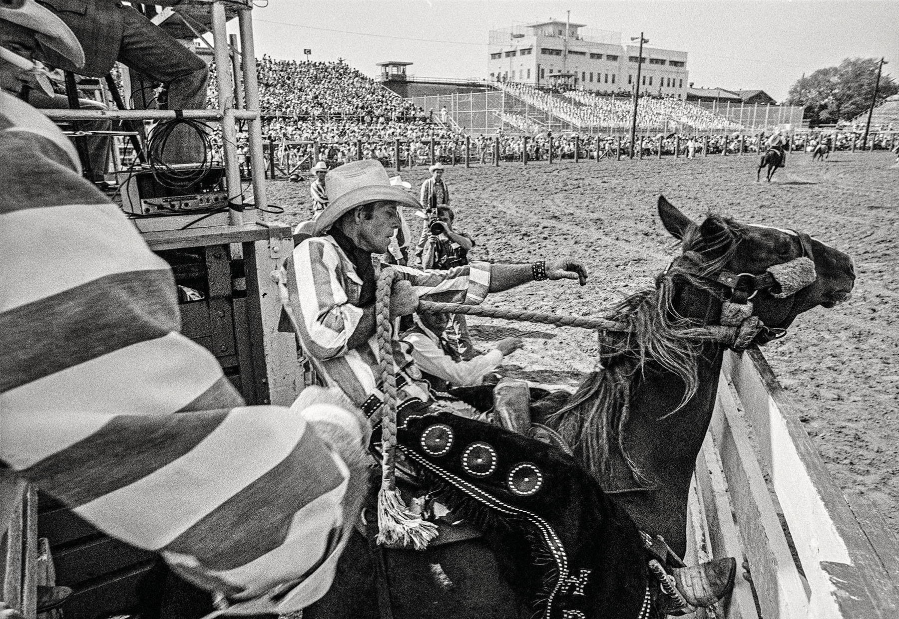 Man on horse in Texas rodeo