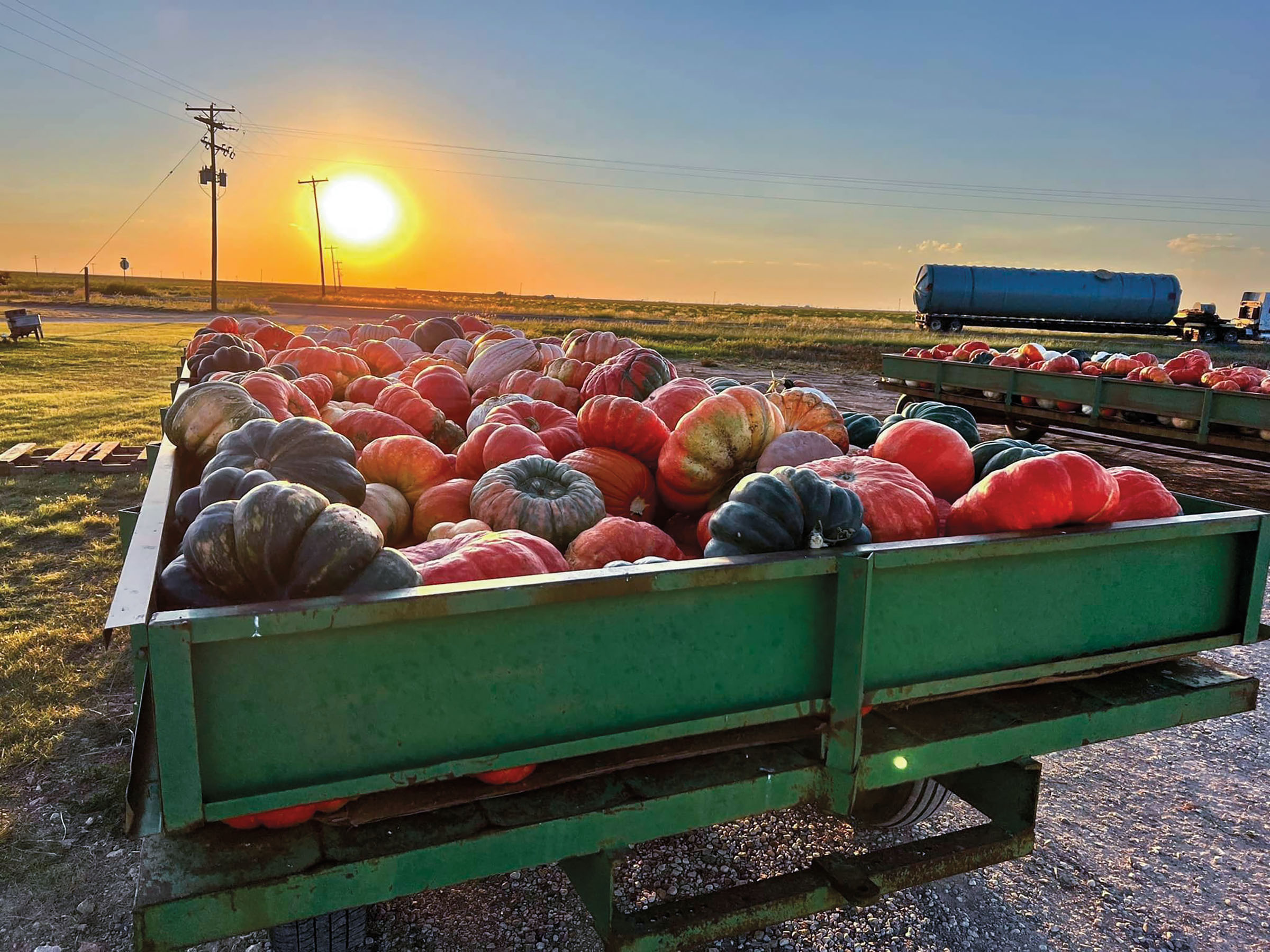 A green wagon loaded full with orange pumpkins under a bright orange sun