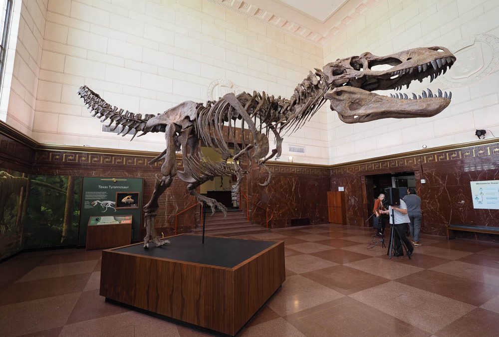 What’s Old Is New Again at the Texas Science & Natural History Museum in Austin