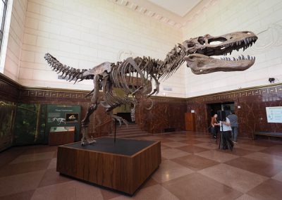 What’s Old Is New Again at the Texas Science & Natural History Museum in Austin