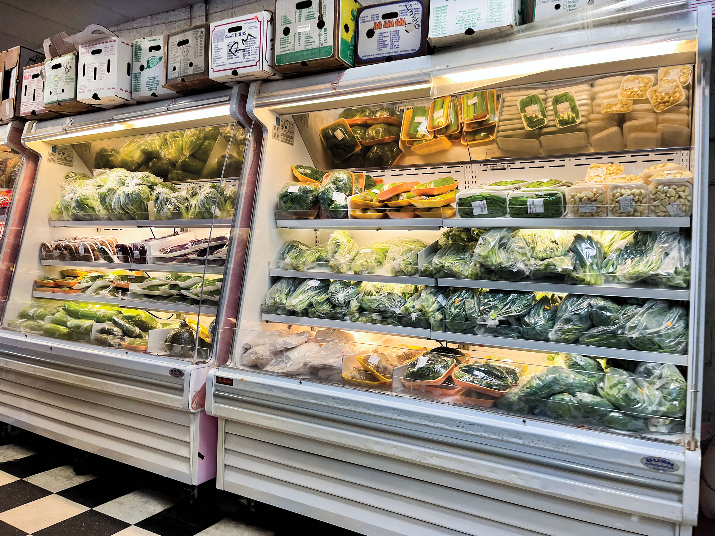 A store cold case filled with a variety of vegetables under bright lights