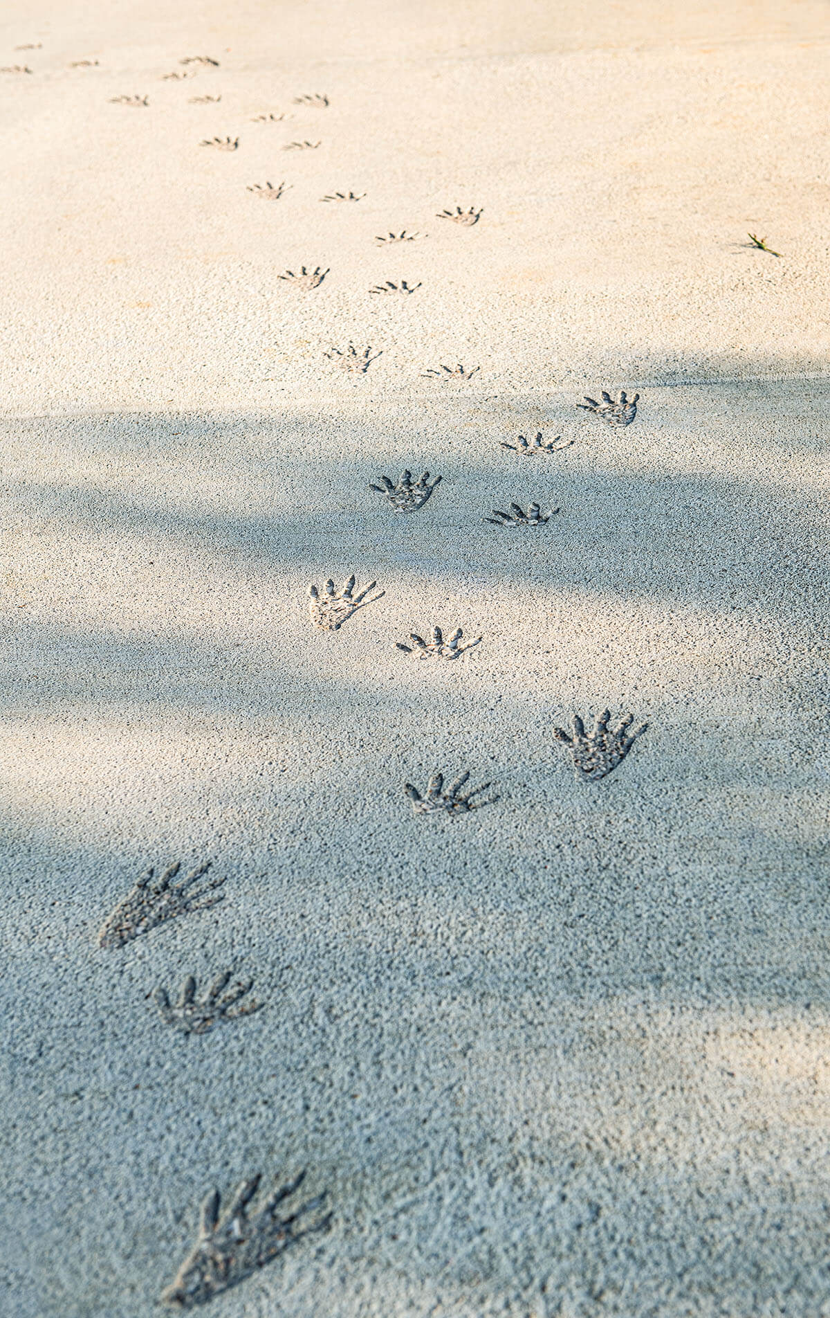 Footprints are visible along gray-colored sand