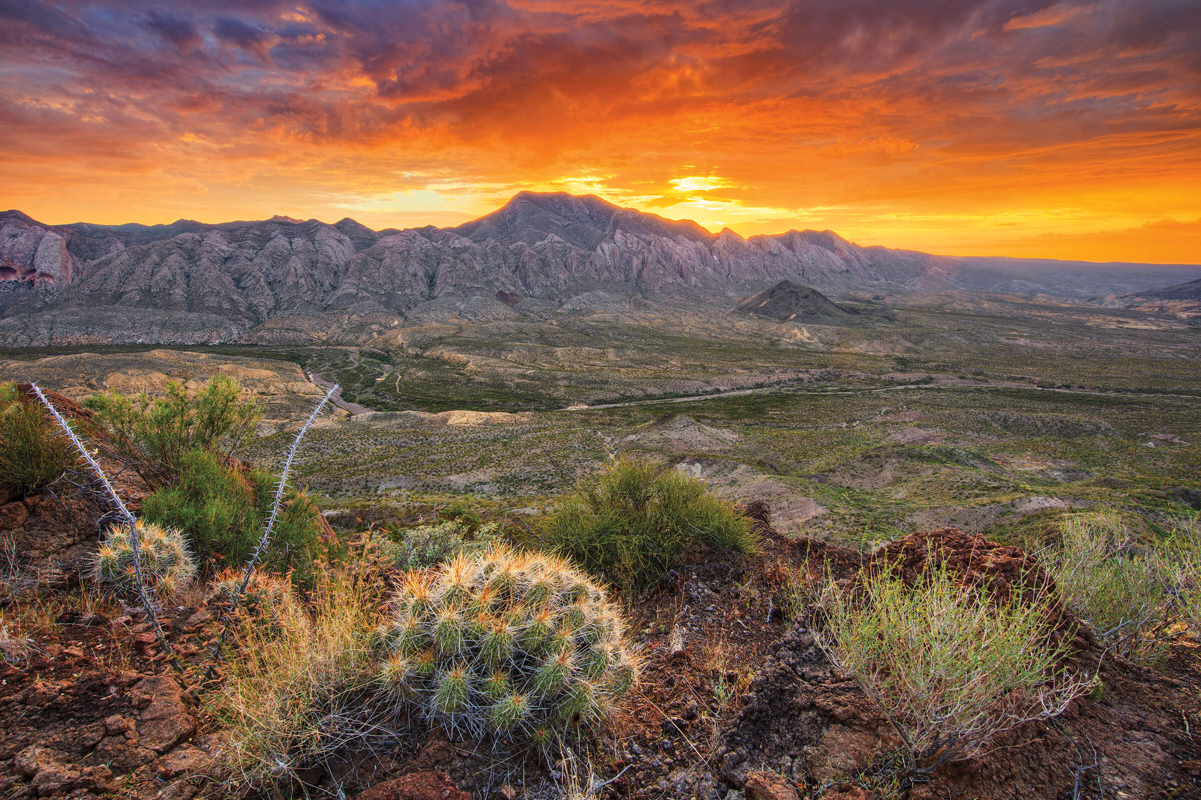 A firey-orange sunrise illuminates greyish-blue mountains in the distance of a desert scene