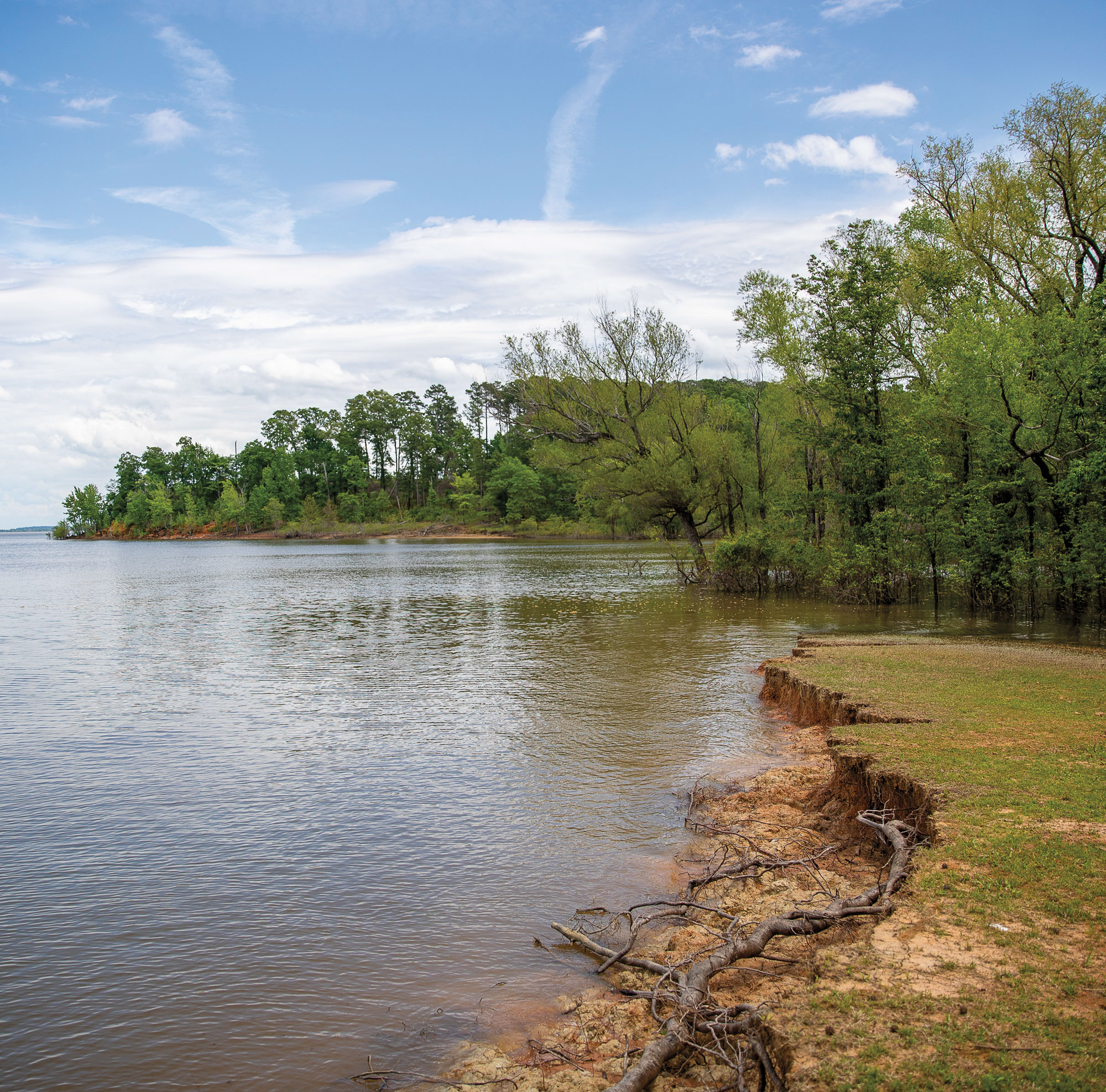 A body of water next to green trees