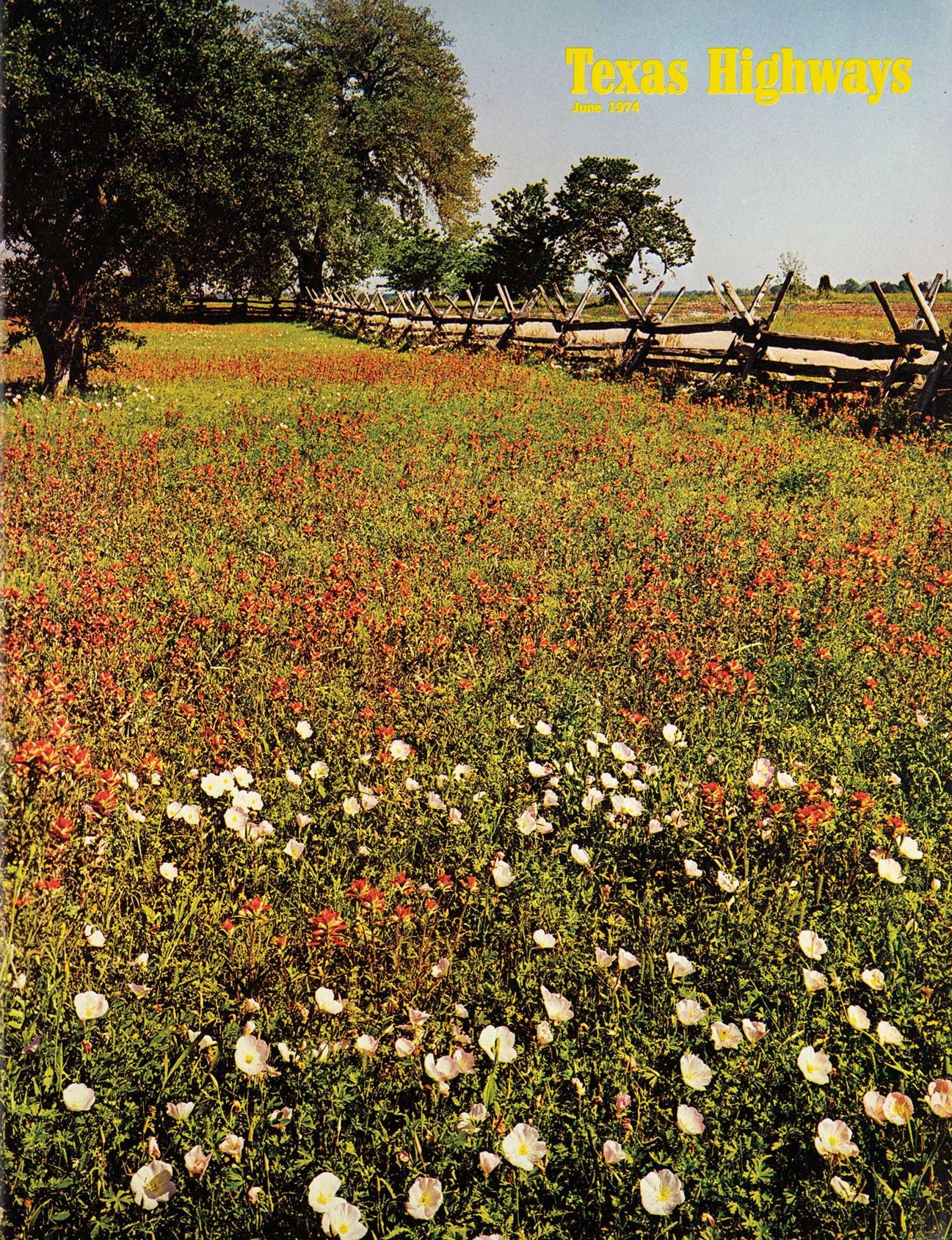 The first cover of Texas Highways featuring a field of wildflowers