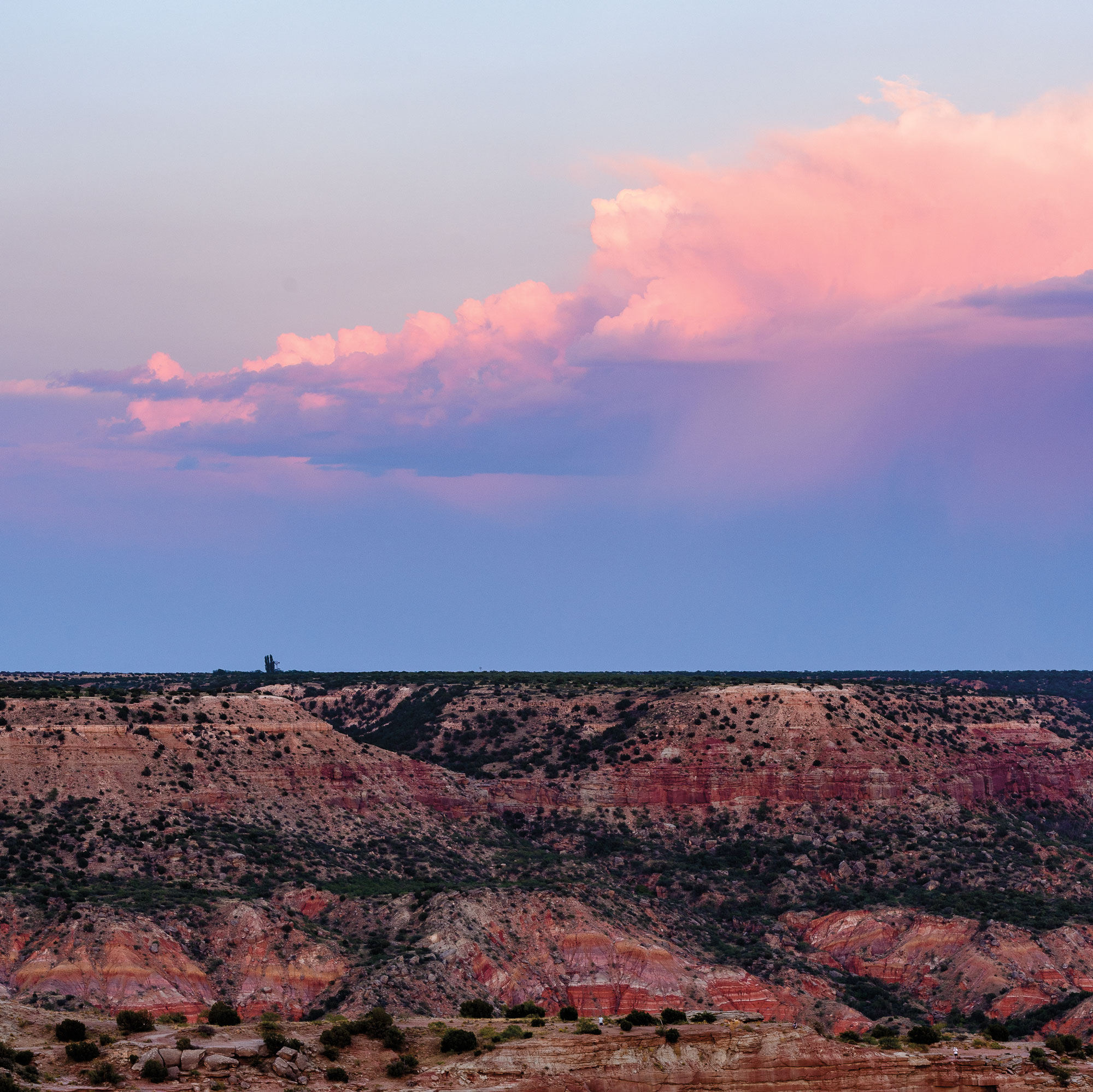 Hermosa Beach's Lighthouse Cafe focus of history talk by jazz guitarist –  Daily Breeze, image size:2000x1998