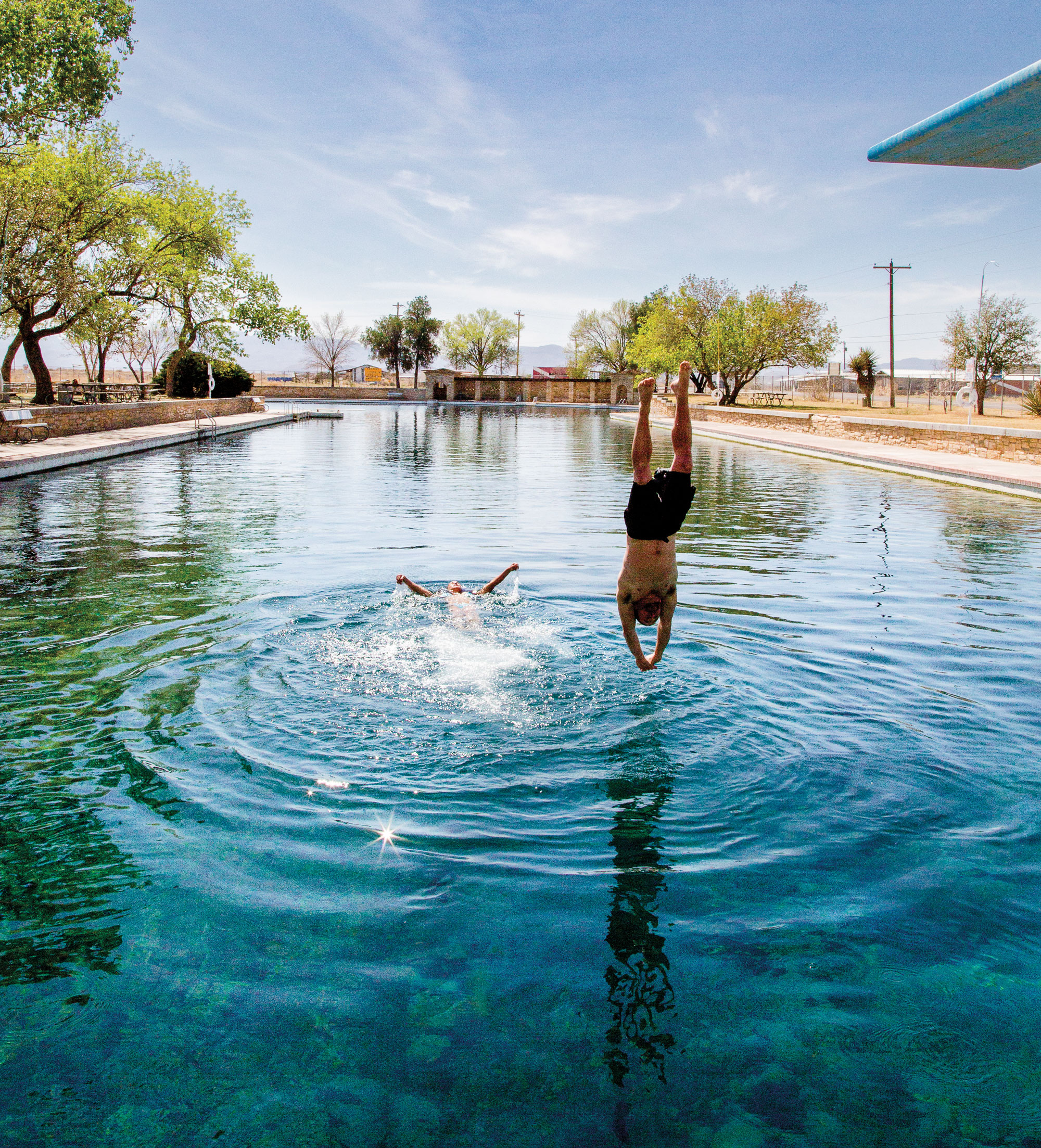 A person dives into a swimming pool.