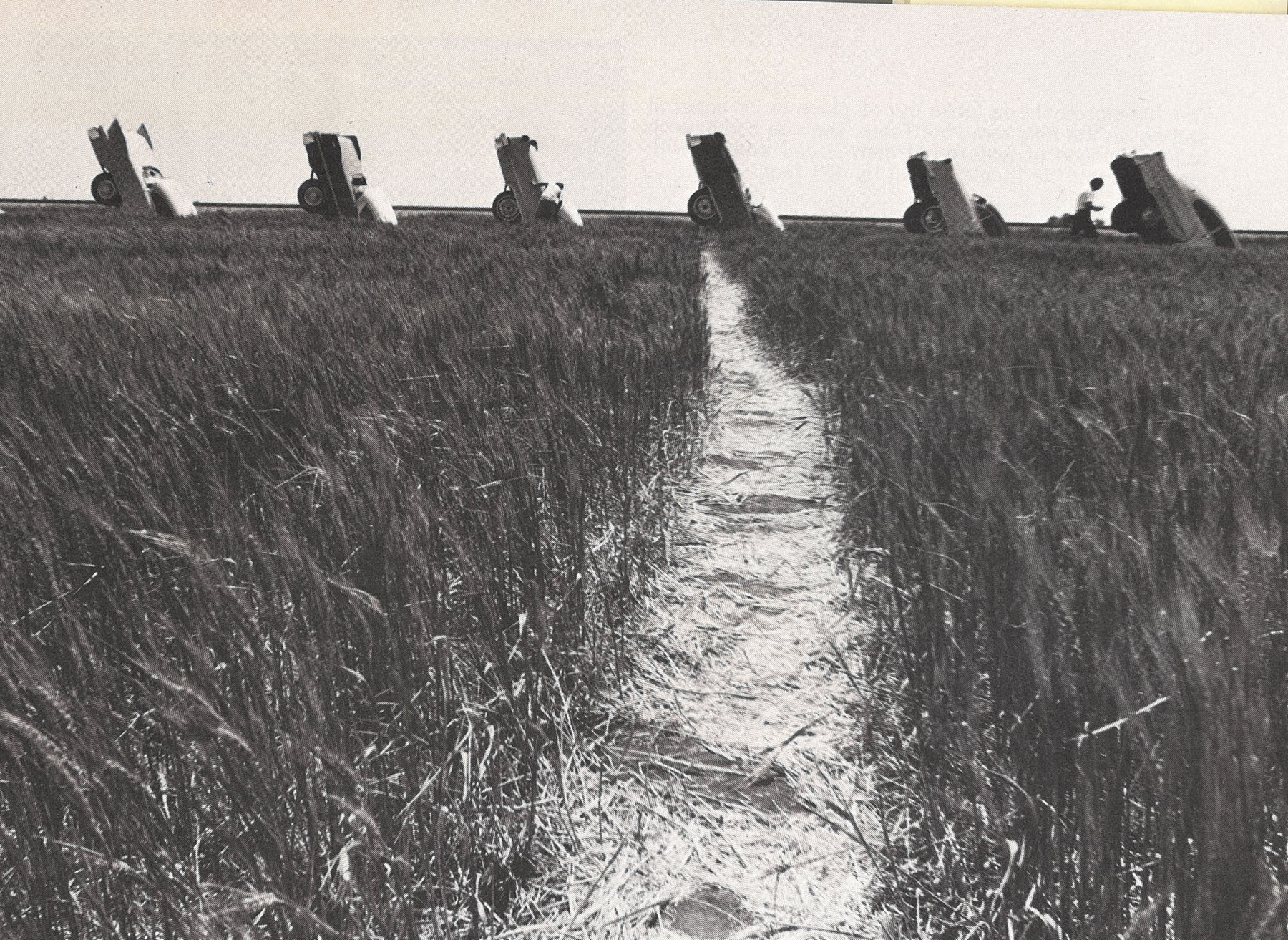 A black and white photograph of Cadillac ranch in a grassland