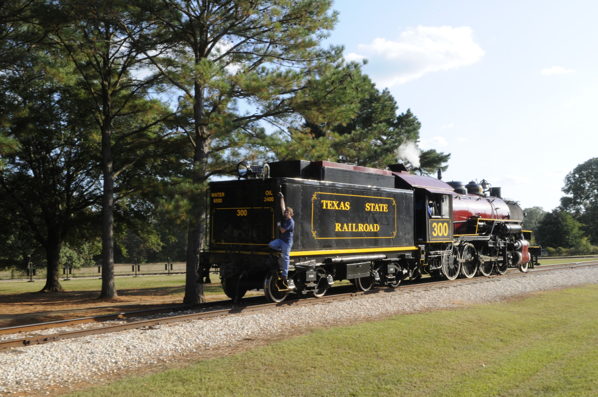 An old-style train sits on tracks with a large pine tree behind it.