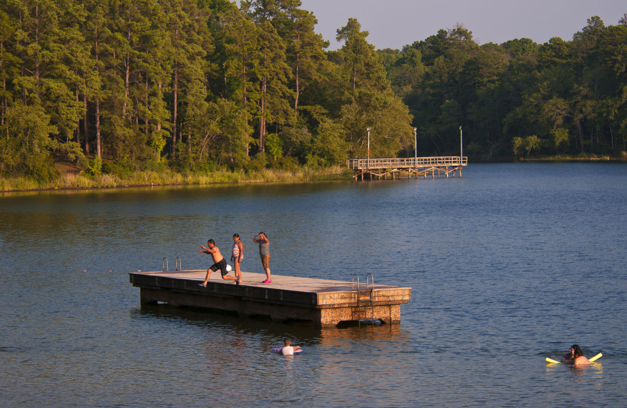 A small group of people swim off of a dock in a lake with large pine trees around