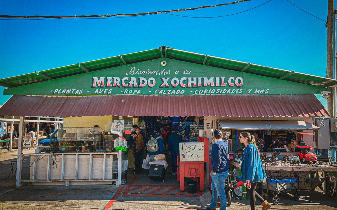 Deep in the Heart of North Houston’s Massive Mercados