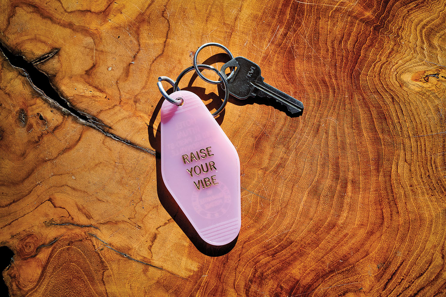 A keyring with a pink plastic tag reading "Raise Your Vibe"