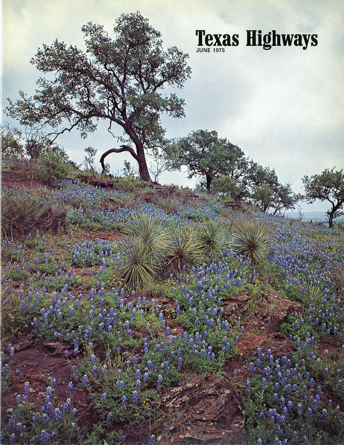 A cover of Texas Highways featuring a field of bluebonnets