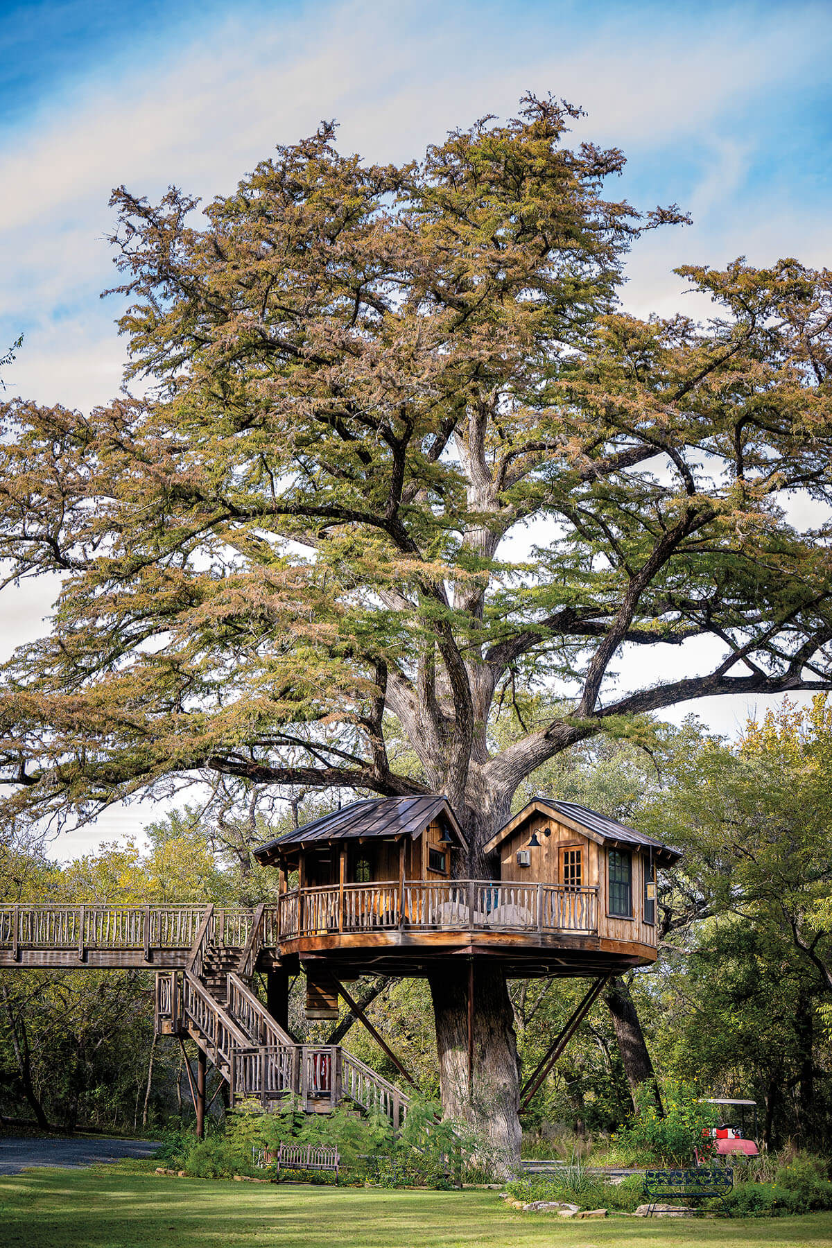 A treehouse built inside of a very large oak tree 