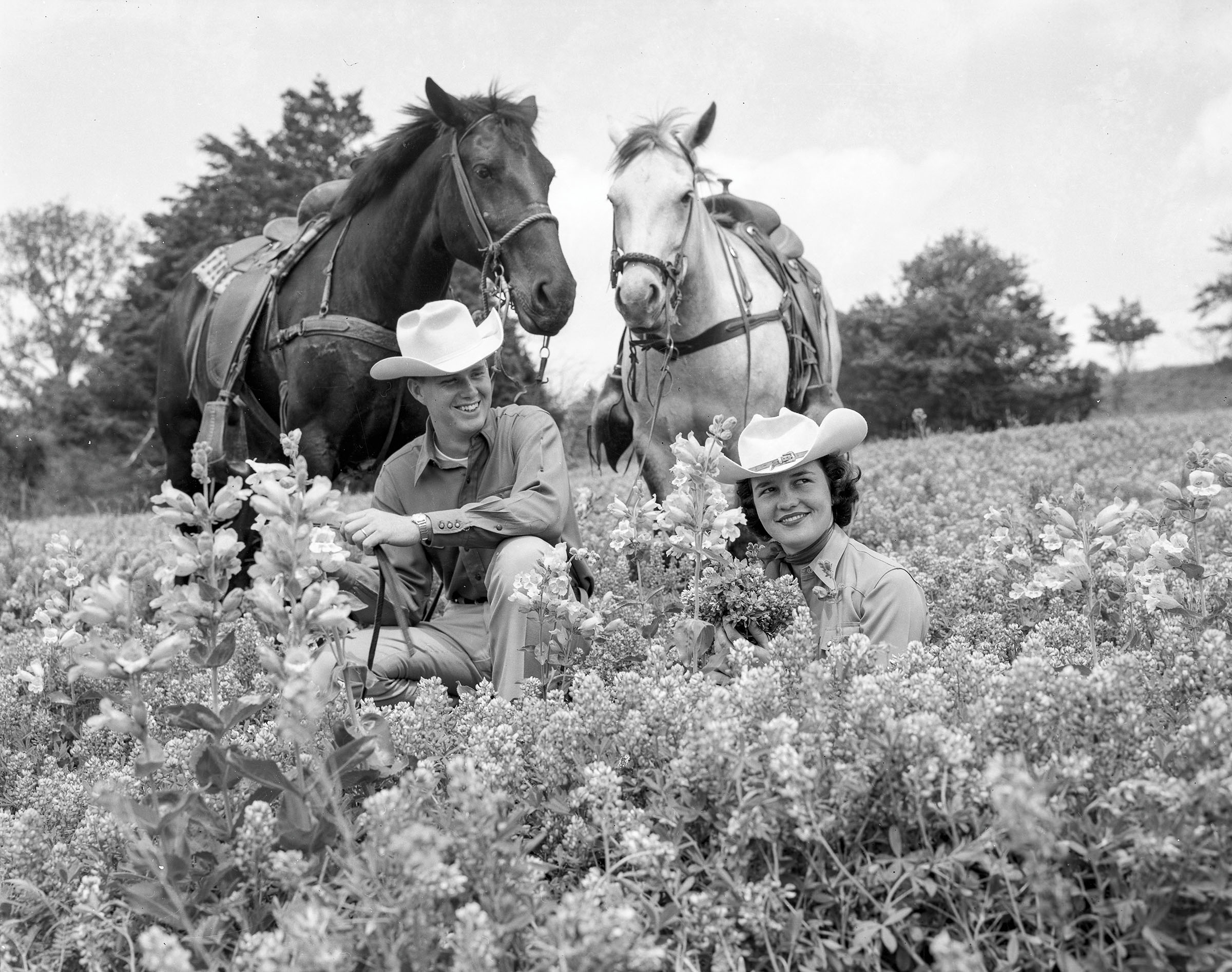 Two people sit in a field of bluebonnets in front of horses