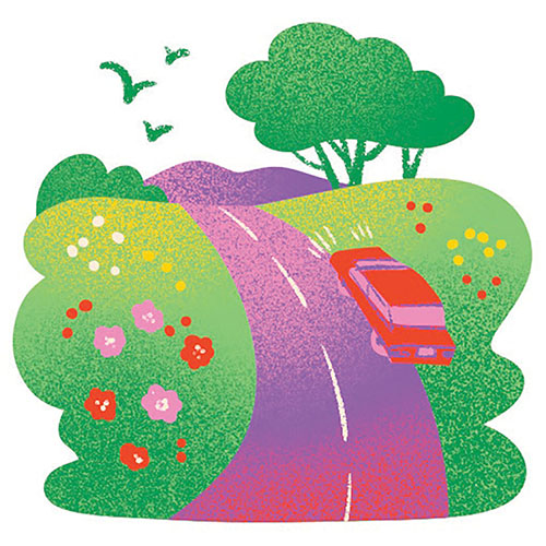 An illustration of a car driving down a road next to fields of wildflowers