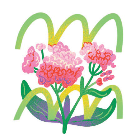 An illustration of small pink flowers and Aquarius zodiac sign