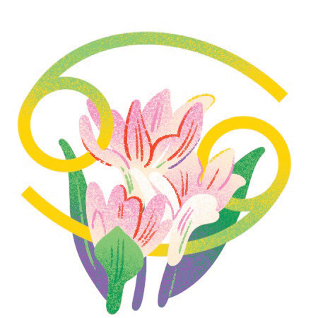 An illustration of a pink and white flower and cancer zodiac sign