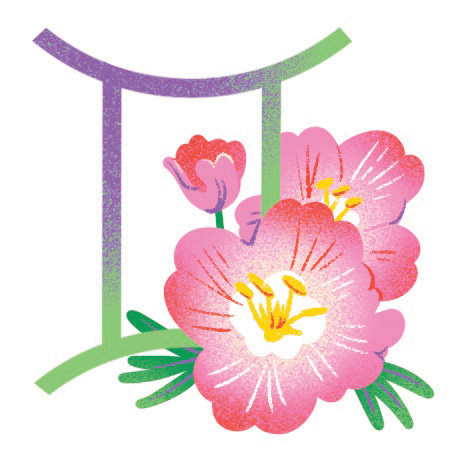An illustration of a pink flower and gemini zodiac sign
