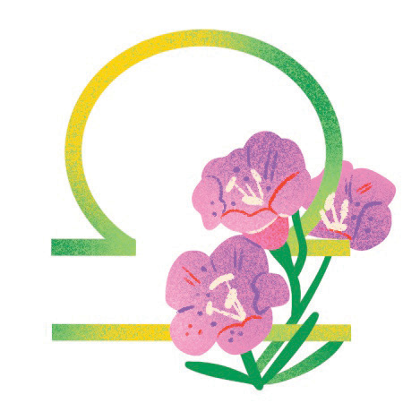 An illustration of a purple flower and libra zodiac sign