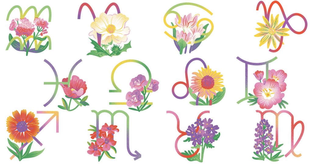 What Texas Wildflower Are You Based on Your Zodiac Sign?