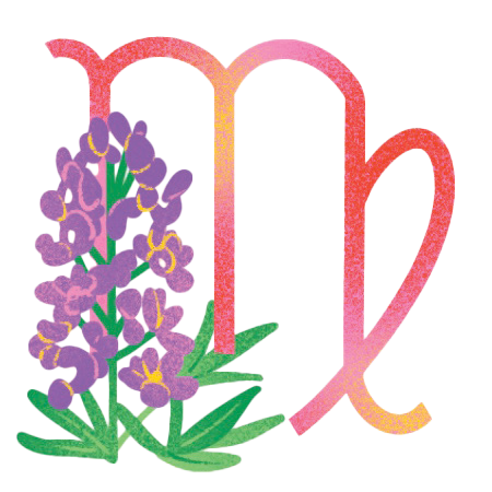 An illustration of a wildflower with a zodiac sign