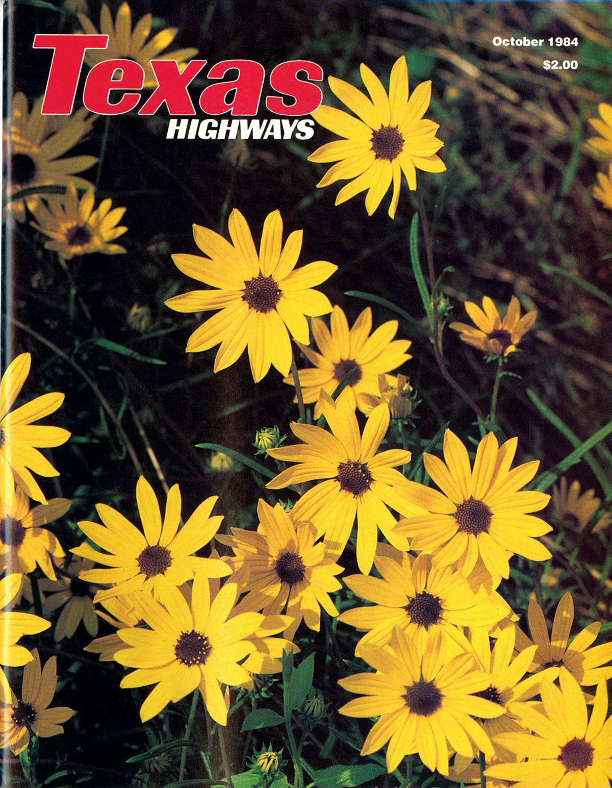 A cover of Texas Highways Magazine with yellow wildflowers