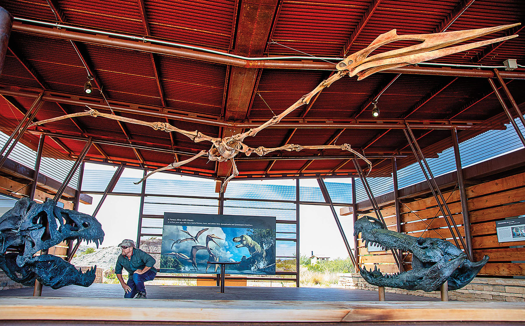 A large winged dinosaur fossil looms on the ceiling of an outdoor exhibit