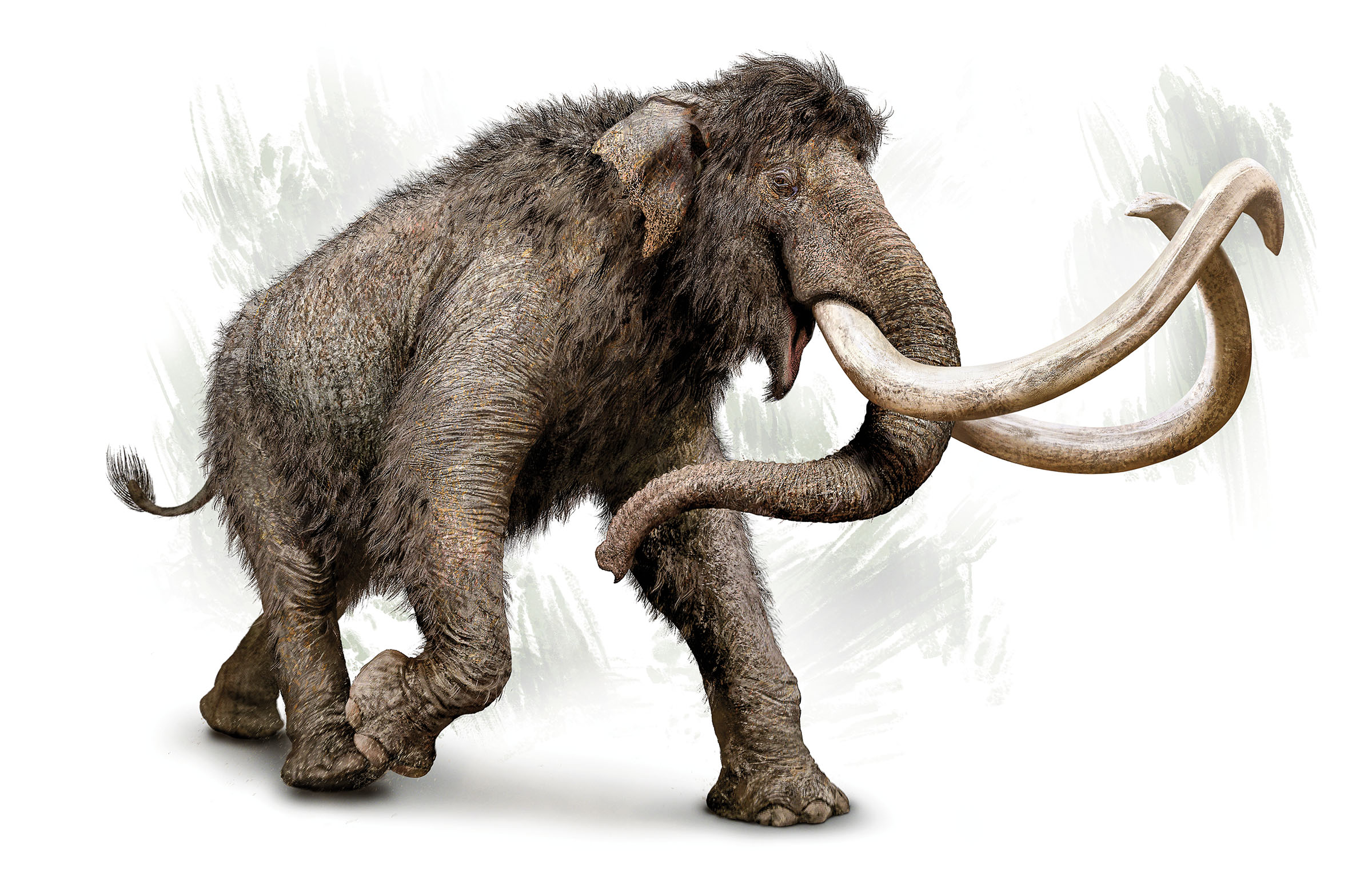 An illustration of a large, elephant-like creature with large tusks