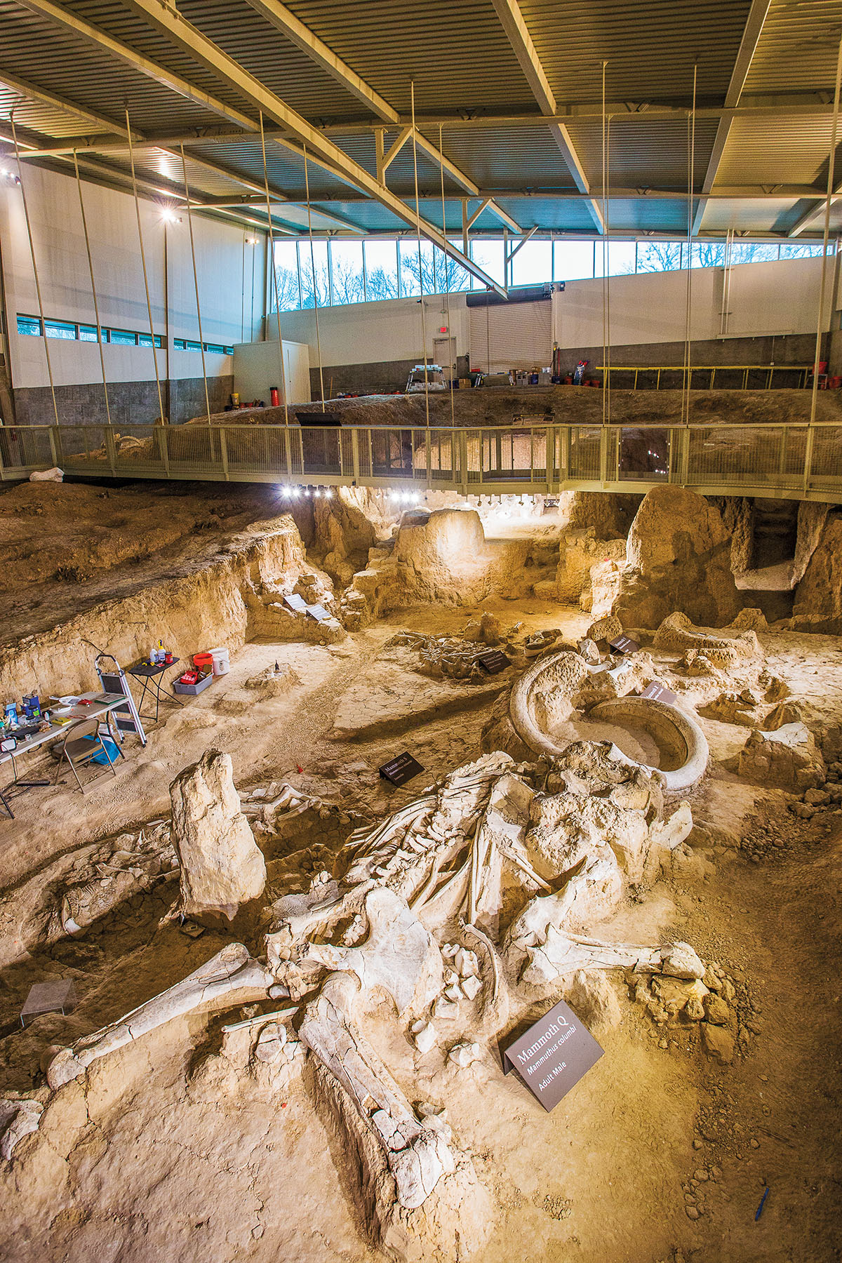 A large fossil dig site covered by lights and an enclosure