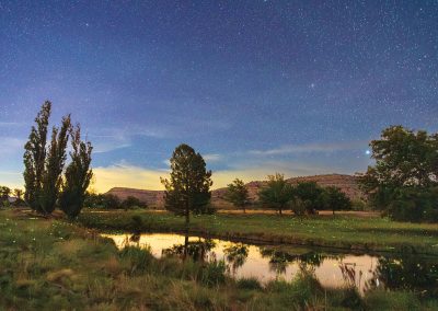 Fireflies Set Independence Creek Preserve Aglow