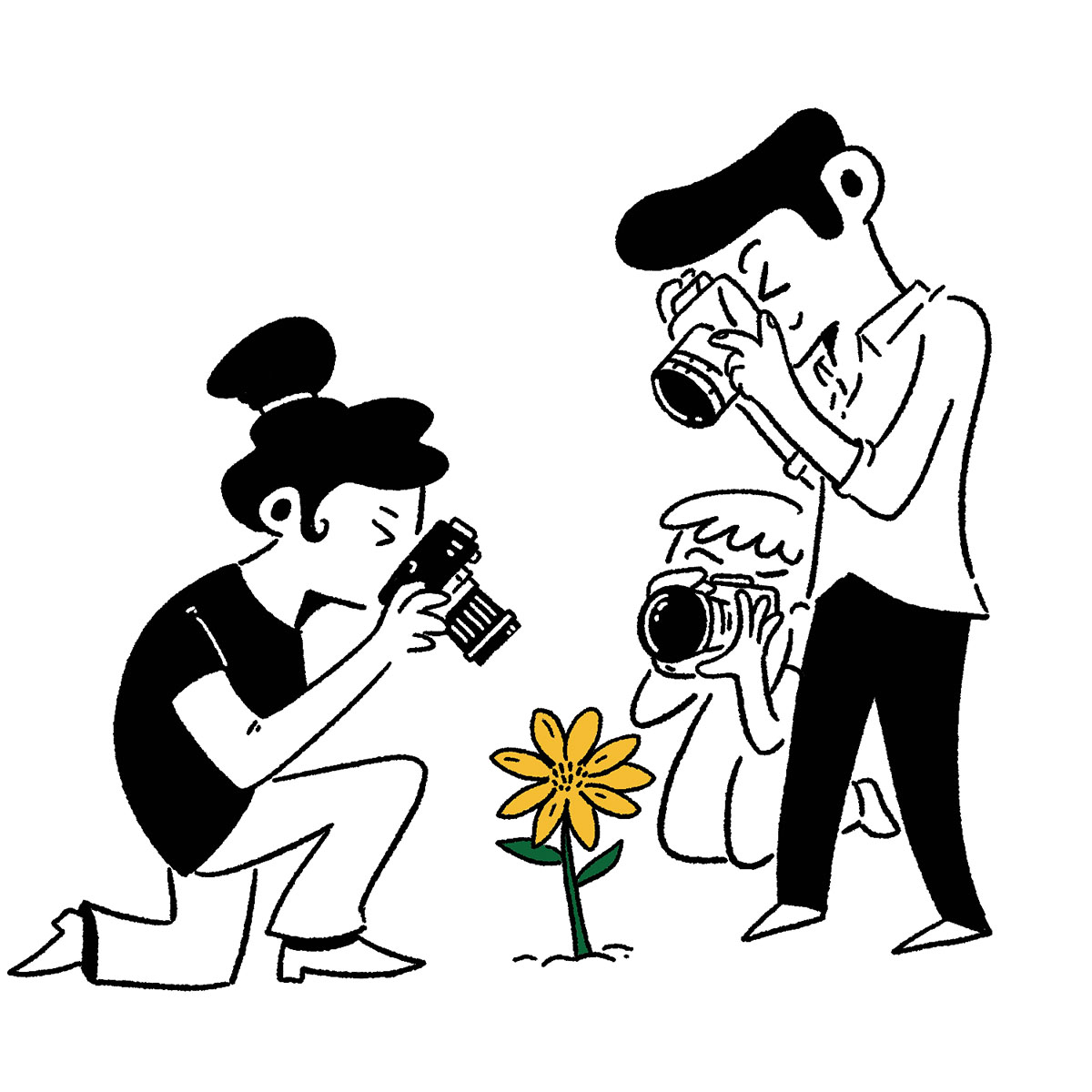 An illustration of people taking pictures of wildflowers