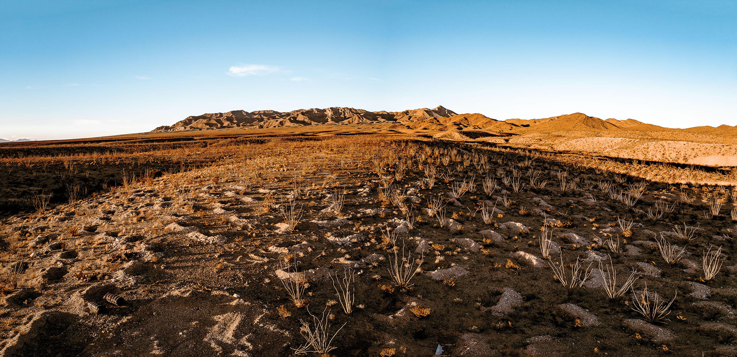 A panoramic view of a desert landscape and blue sky