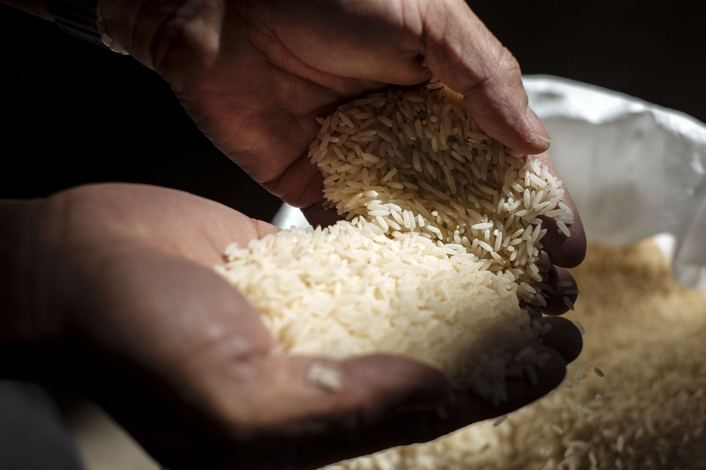 Hands hold a portion of bright white rice