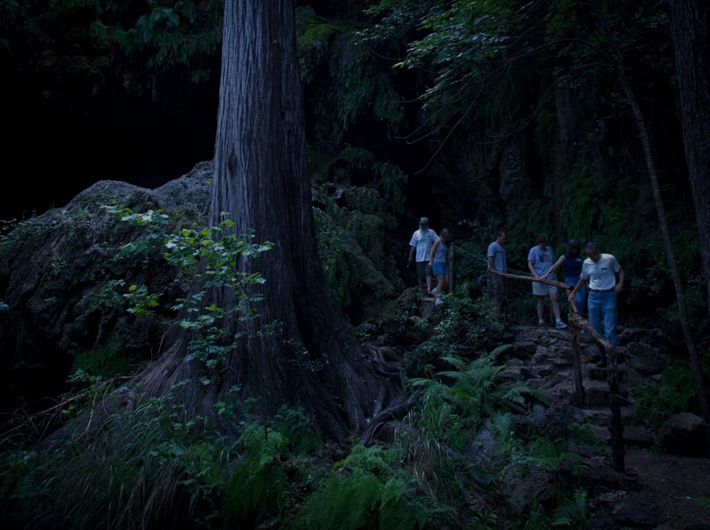 On a Night Hike, Don’t Be Afraid of the Dark