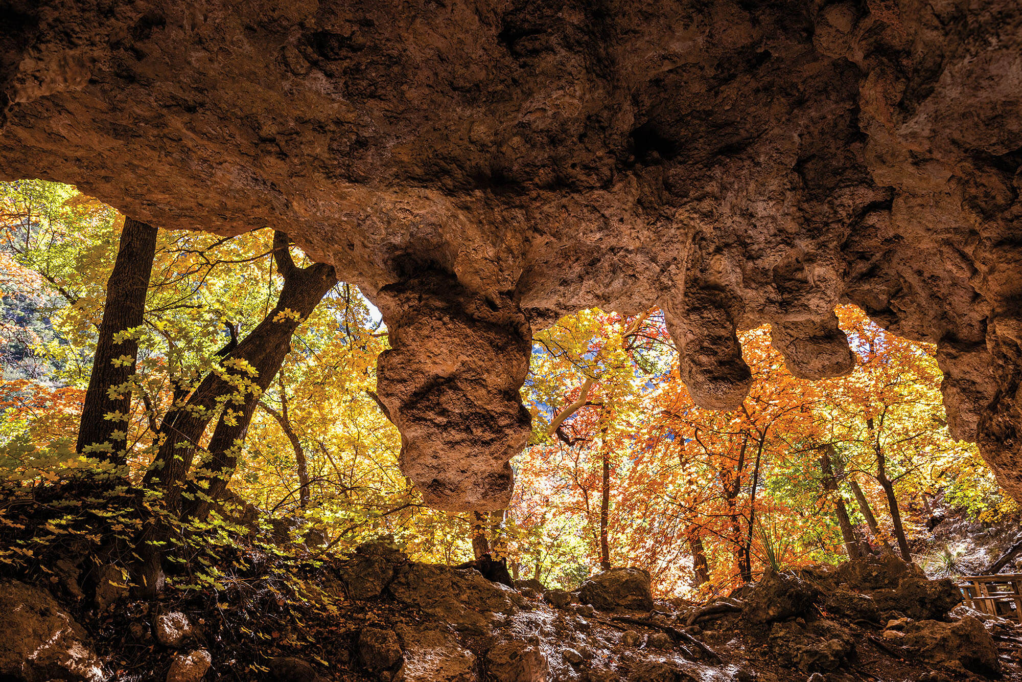 Several large brown rock croppings are visible at the mouth of a cave surrounded by fall foliage 