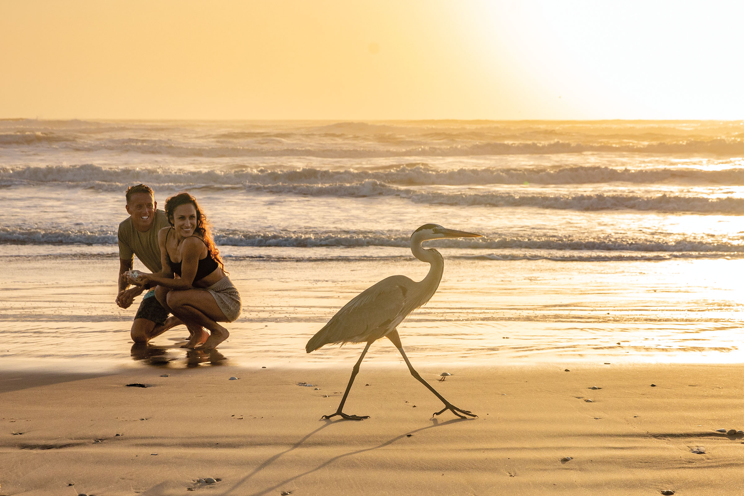 Two people on the beach admire a tall bird in golden light