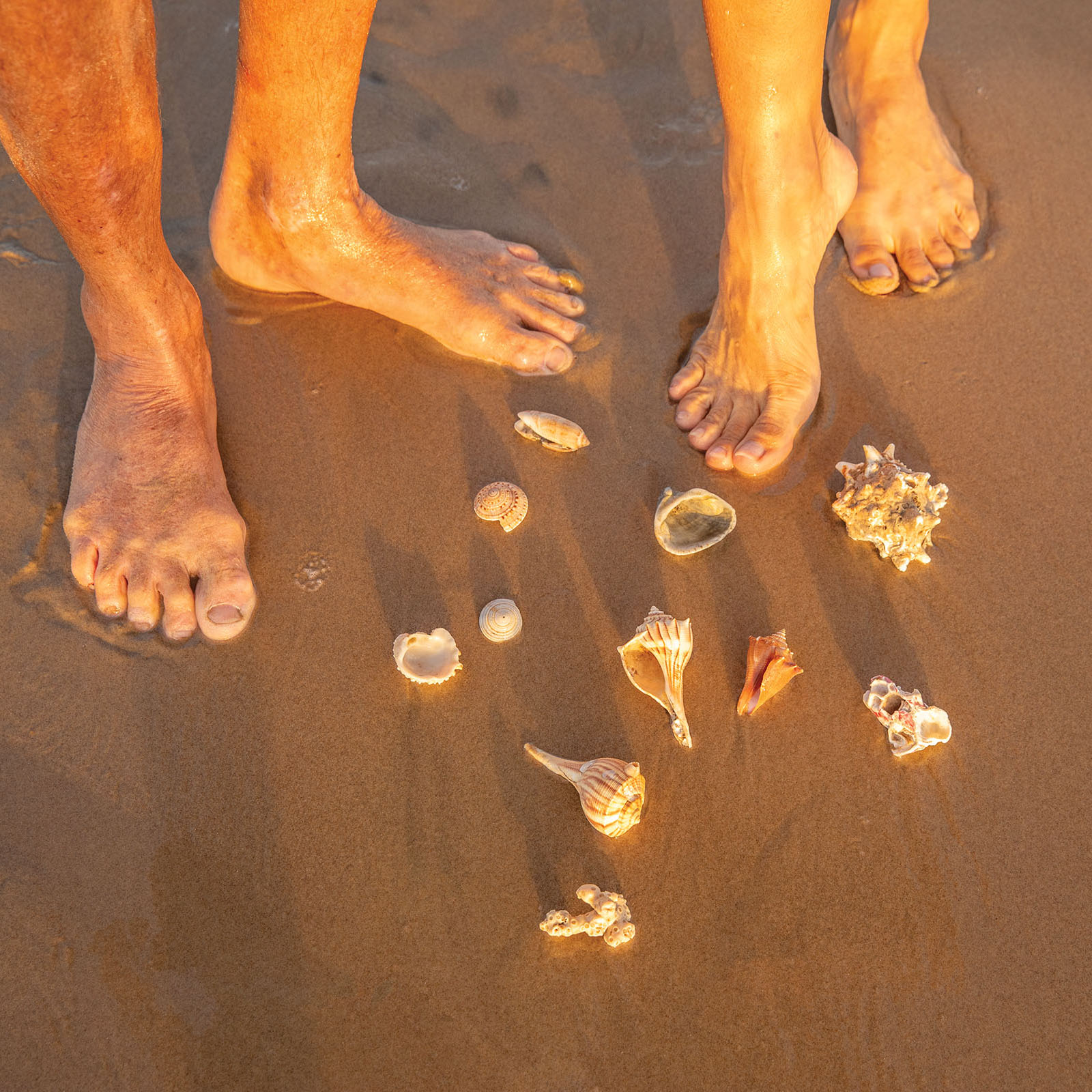 Two pair of bare feet next to a collection of shells in the sand