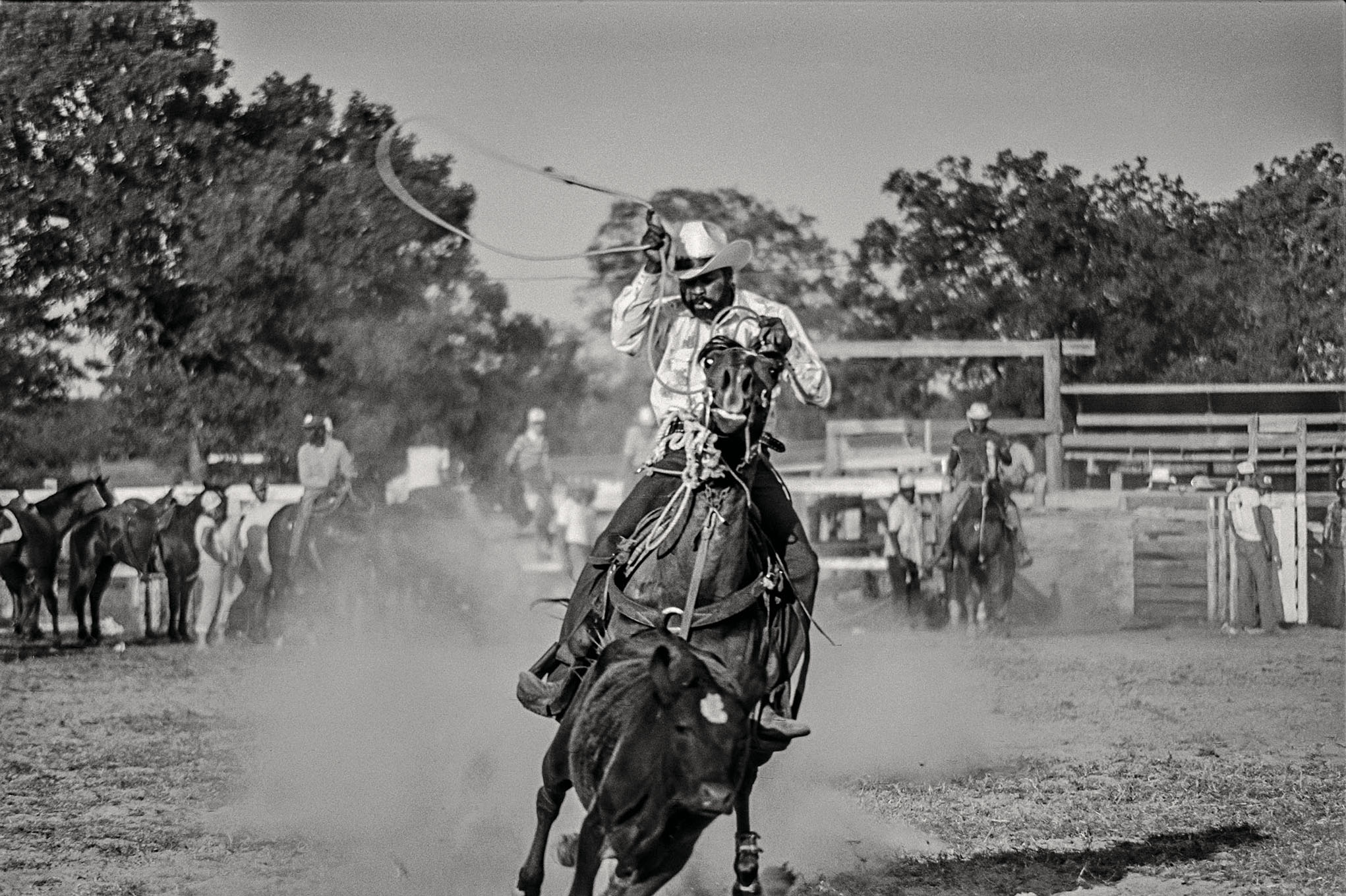 A man riding a horse spins a rope lasso above his head