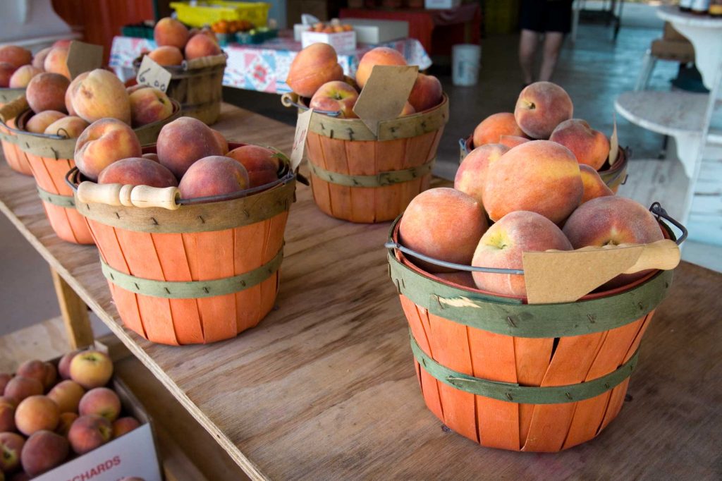 Peach Season Comes Early Around Texas
