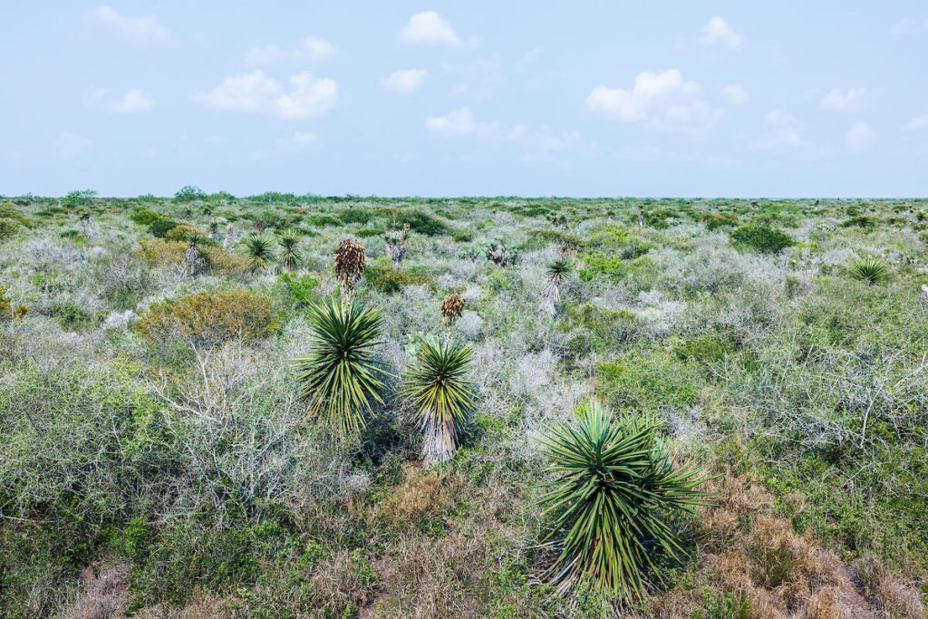 A Poem for the Rio Grande Valley