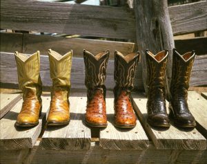 Three pairs of cowboy boots, ranging from ivory to black, stand in a row on a wooden bench
