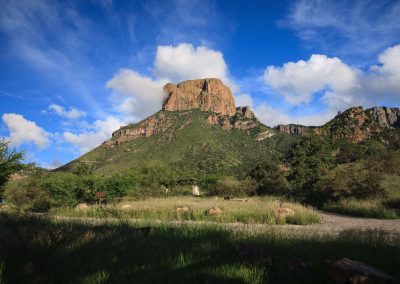 Your 2025 Texas Travel Bucket List