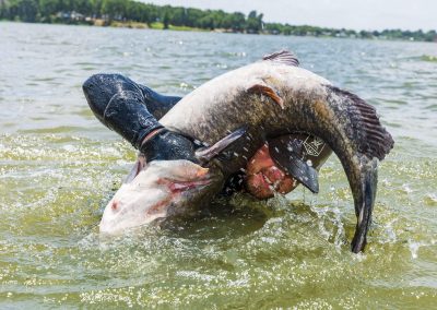 The Outlaw Tradition of Noodling for Catfish