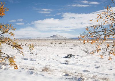 Hidden Gem: Experience Snowfall in West Texas